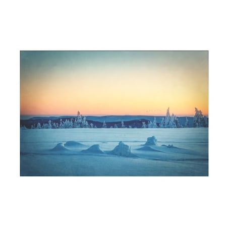 TRADEMARK FINE ART Philippe Sainte Laudy 'Winter Trail' Canvas Art, 30x47 PSL01378-C3047GG
